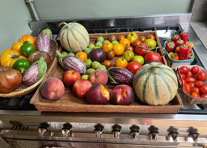 Belle Au Coeur De ,petit Déjeuner, Jardin Et Bassin Montpellier